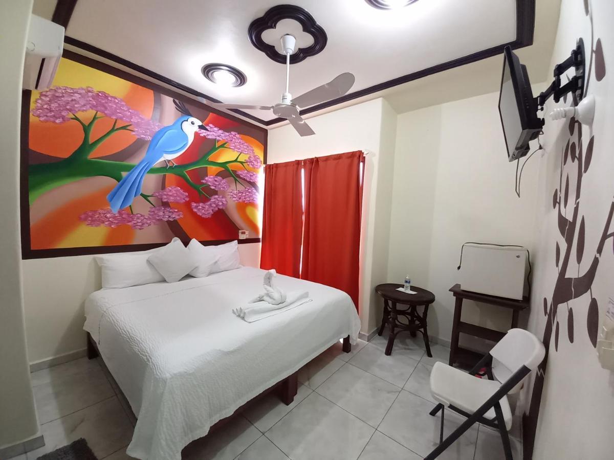 Hotel Posada Diamante 圣克鲁斯华特库 外观 照片