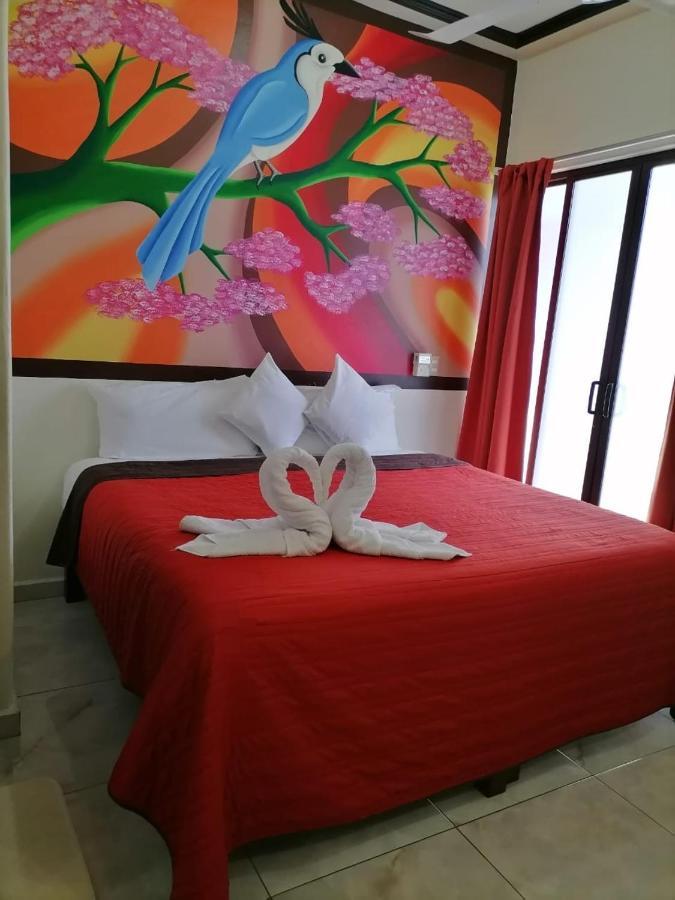 Hotel Posada Diamante 圣克鲁斯华特库 外观 照片